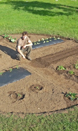 Tony Peytavy jardinier paysagiste Aquitaine