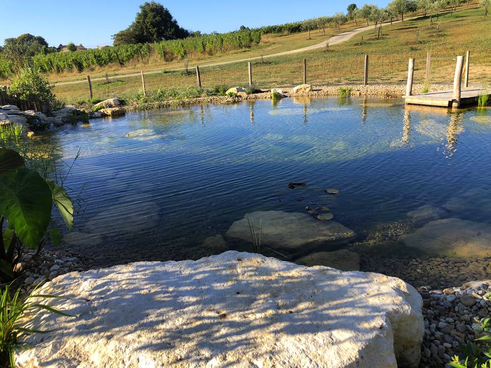 Bassin évasion paysage bordeaux gironde