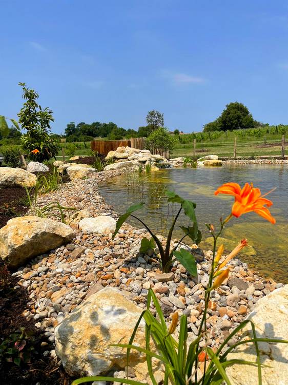 Bassin évasion paysage bordeaux gironde