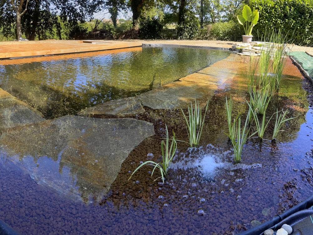 Bassin évasion paysage bordeaux gironde