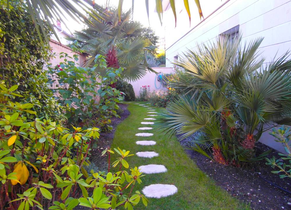 Chemin d'accès évasion paysage bordeaux gironde