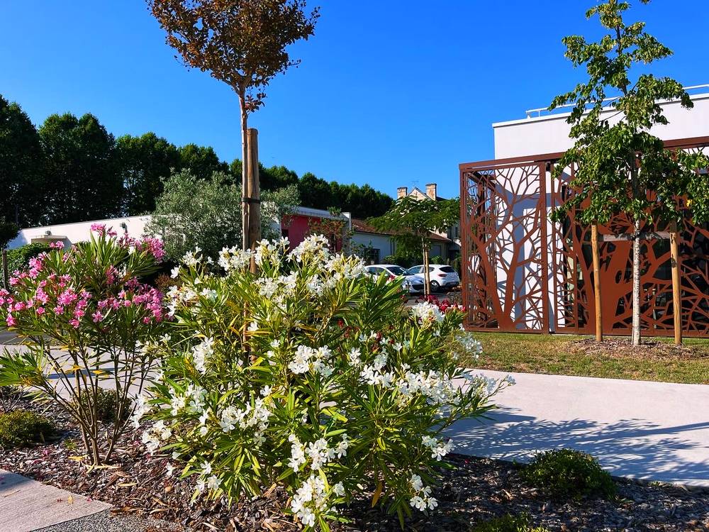 Entretien espace vert évasion paysage bordeaux gironde