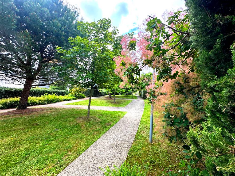 Entretien espace vert évasion paysage bordeaux gironde