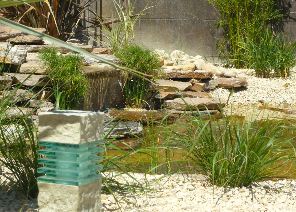 Bassins et plans d'eau Évasion Paysage