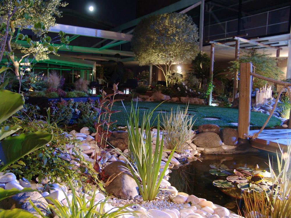 Bassins et plans d'eau Évasion Paysage