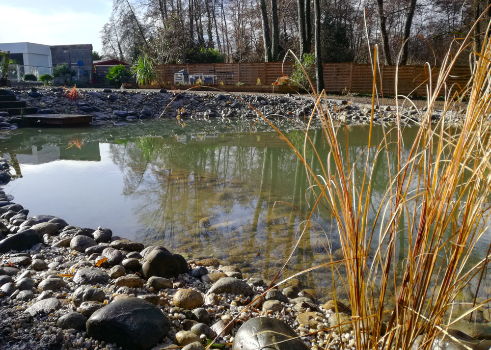 Bassins et plans d'eau Évasion Paysage